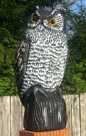 Owl on a Post - After