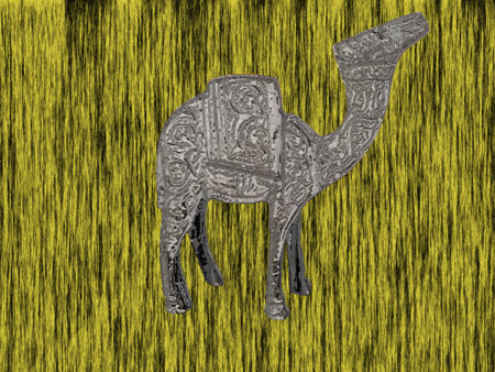 Egyptian Camel - After - 450x338