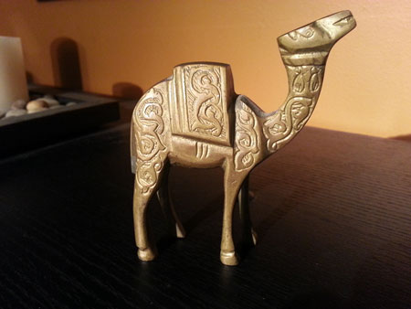 Egyption Camel - Before - 450x338