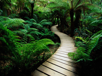 Greenscaped Surrounds the Path